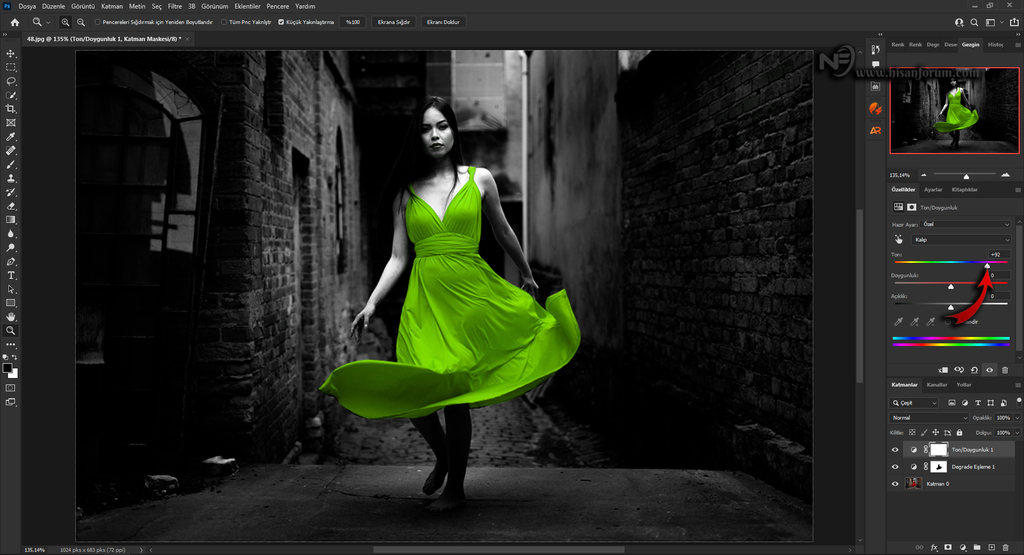 Siyah Beyaz Fotoğrafta Tek Renk Efekti Uygulamak-14.jpg